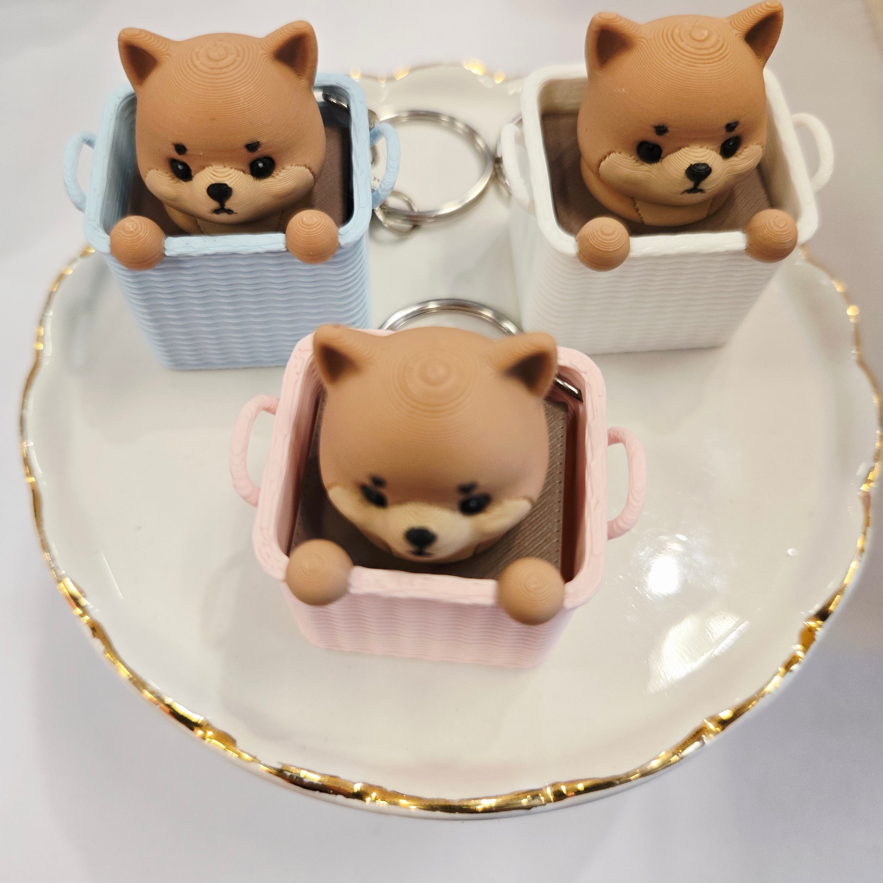 Puppy