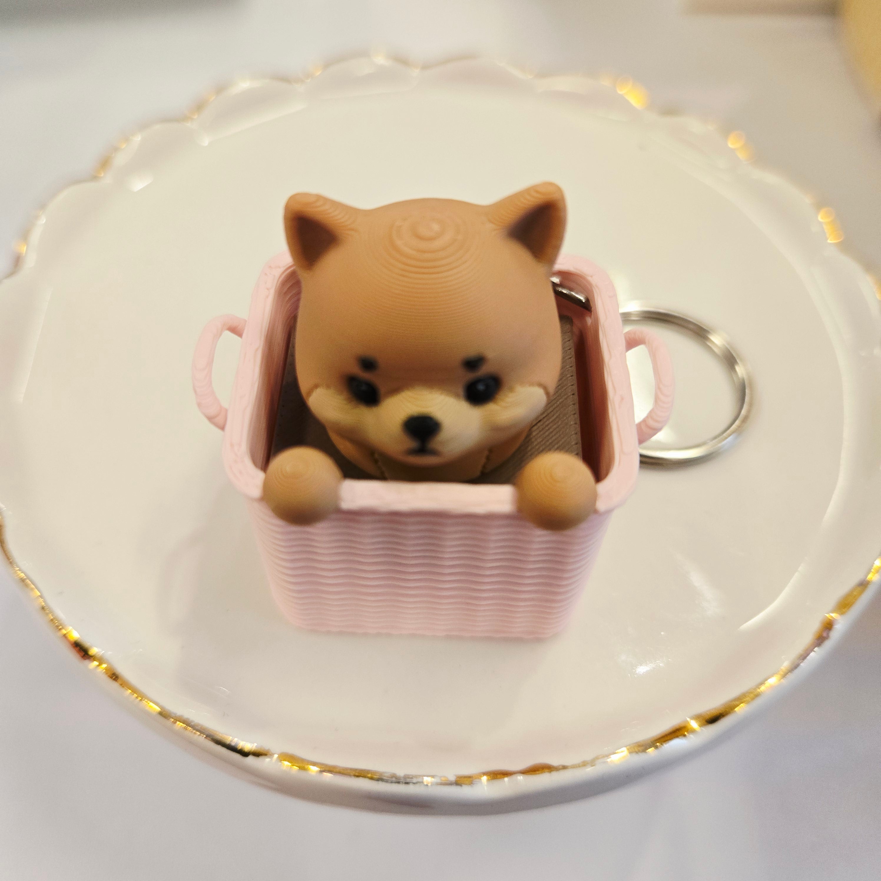 Puppy